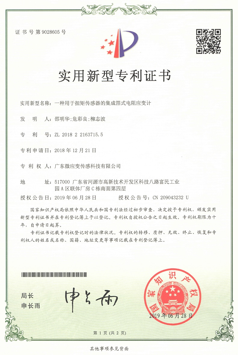 一种用于扭矩传感器的集成箔式电阻应变计2-1.jpg