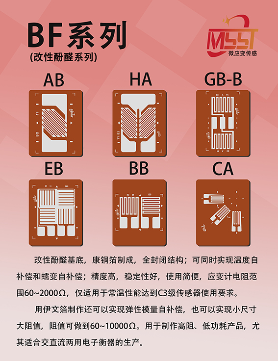 bf 拷贝.jpg